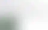 Blurred archive preview