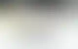 Blurred archive preview