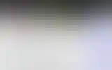 Blurred archive preview
