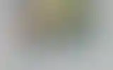 Blurred archive preview