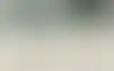 Blurred archive preview