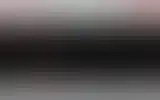 Blurred archive preview