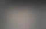 Blurred archive preview