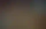 Blurred archive preview