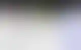 Blurred archive preview