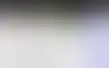 Blurred archive preview