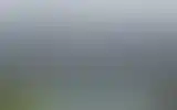 Blurred archive preview