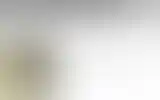 Blurred archive preview