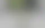 Blurred archive preview