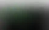 Blurred archive preview