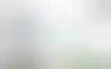 Blurred archive preview
