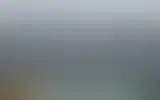 Blurred archive preview