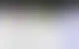 Blurred archive preview