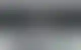 Blurred archive preview