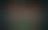 Blurred archive preview