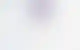 Blurred archive preview