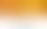 Blurred archive preview