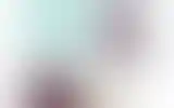 Blurred archive preview