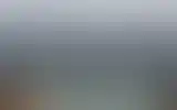 Blurred archive preview