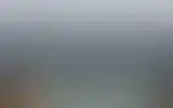 Blurred archive preview