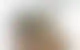 Blurred archive preview