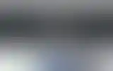 Blurred archive preview