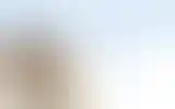 Blurred archive preview