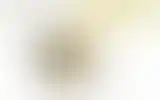 Blurred archive preview