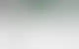 Blurred archive preview