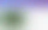 Blurred archive preview