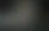 Blurred archive preview
