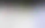 Blurred archive preview