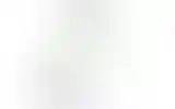 Blurred archive preview