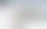 Blurred archive preview