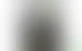 Blurred archive preview