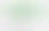 Blurred archive preview