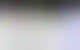 Blurred archive preview