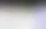 Blurred archive preview
