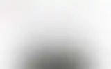 Blurred archive preview