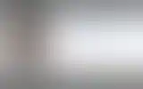 Blurred archive preview