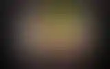Blurred archive preview