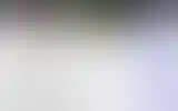 Blurred archive preview