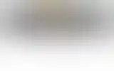 Blurred archive preview