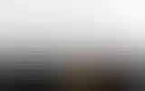 Blurred archive preview