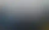 Blurred archive preview