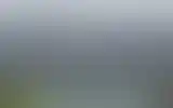 Blurred archive preview