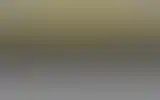 Blurred archive preview