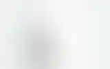 Blurred archive preview