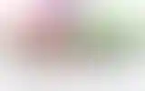 Blurred archive preview