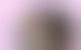 Blurred archive preview